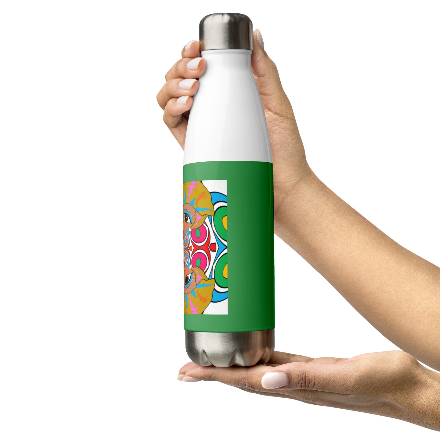 Stainless Steel Water Bottle