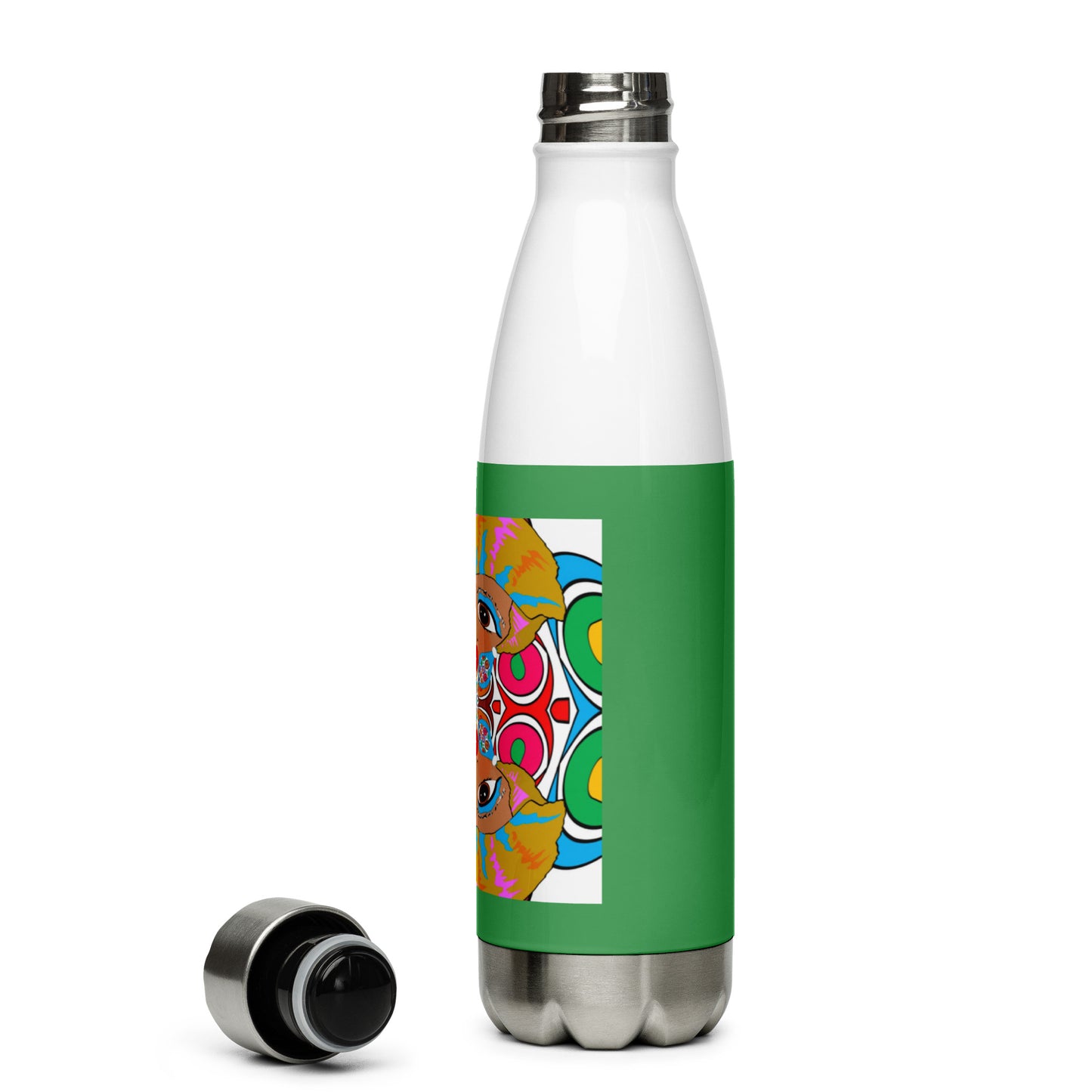 Stainless Steel Water Bottle