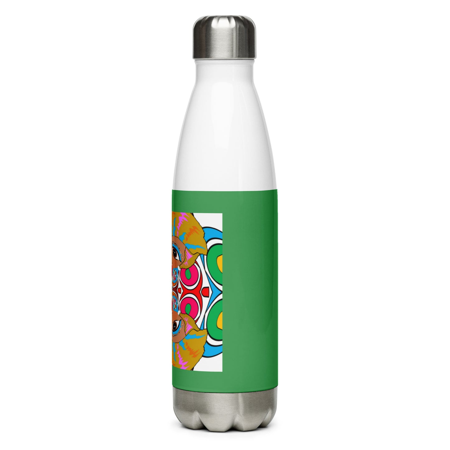 Stainless Steel Water Bottle