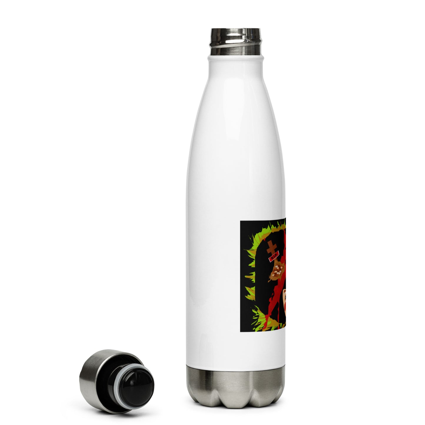 Stainless Steel Water Bottle